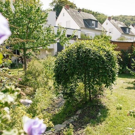 Ferienwohnung Am Breyer Talbach Exteriér fotografie