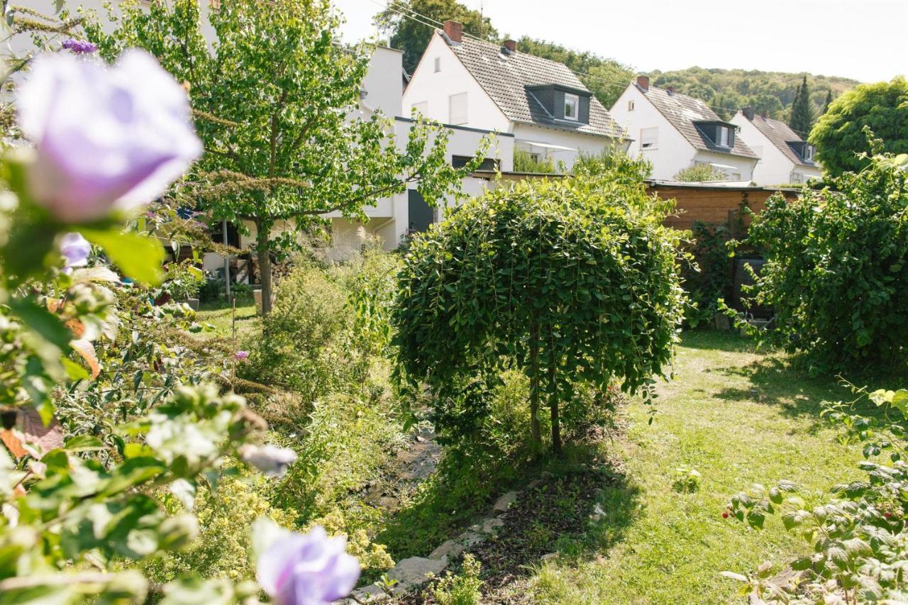 Ferienwohnung Am Breyer Talbach Exteriér fotografie
